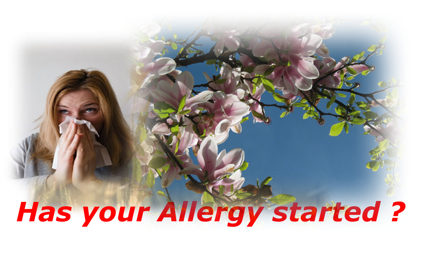 FreeBreeze 9.1 Allergy